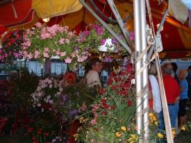 2007 Carnival